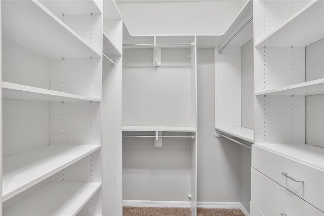 spacious closet with carpet