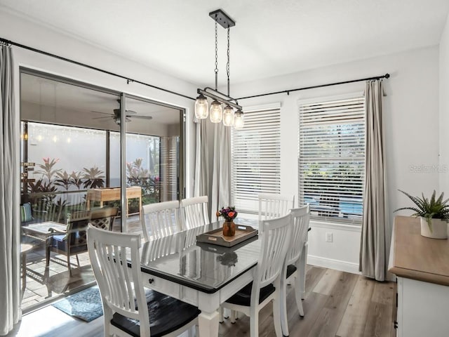 dining room with a ceiling fan, light wood-type flooring, a healthy amount of sunlight, and baseboards