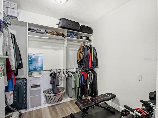 spacious closet featuring wood finished floors