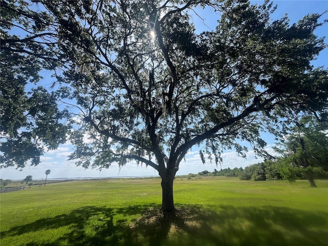 2825 Lake Tohopekaliga Blvd, Kissimmee, FL 34746 - view of yard