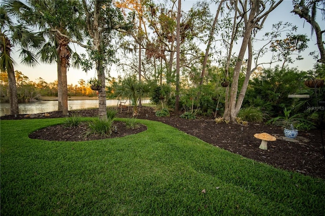 yard at dusk with a water view