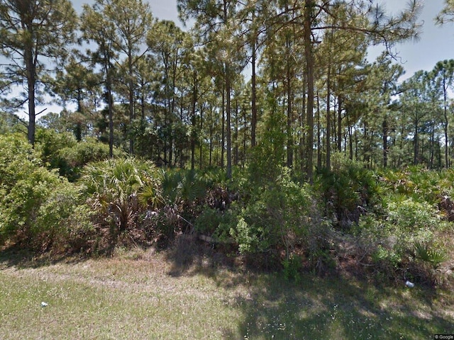 12047 Joyner Ave, Port Charlotte FL, 33953 land for sale