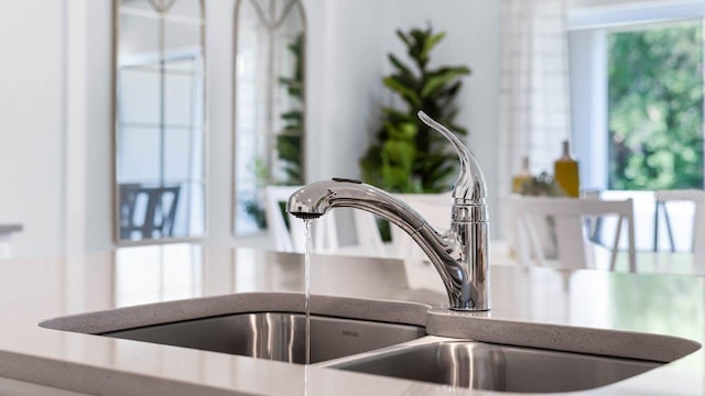 interior details with a sink