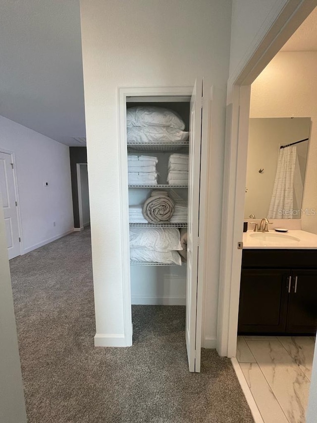 closet with a sink