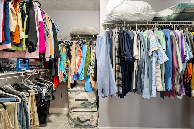 14664 Spotted Sandpiper Blvd, Winter Garden, FL 34787 - walk in closet with carpet flooring
