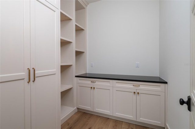 spacious closet with light wood-type flooring