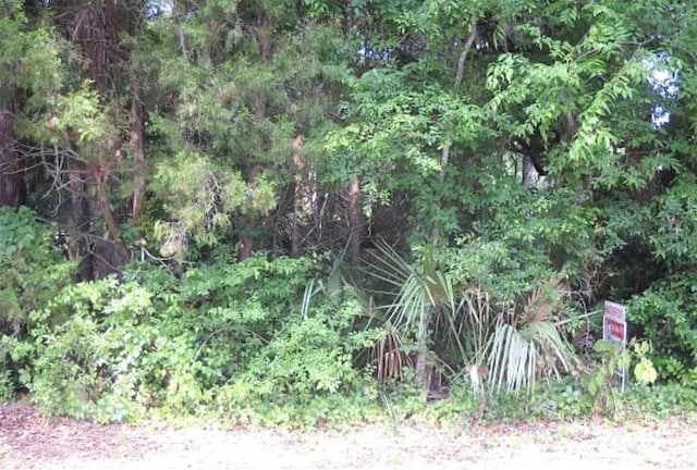 8438 W Elkhorn Dr, Homosassa FL, 34448 land for sale