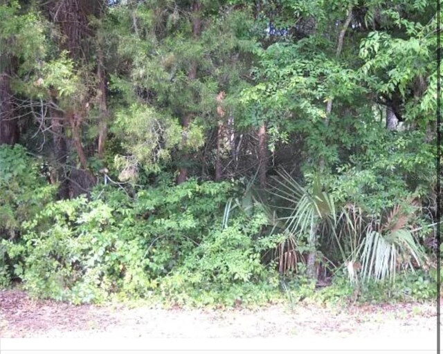 8438 W Elkhorn Dr, Homosassa, FL 34448 - photo 1