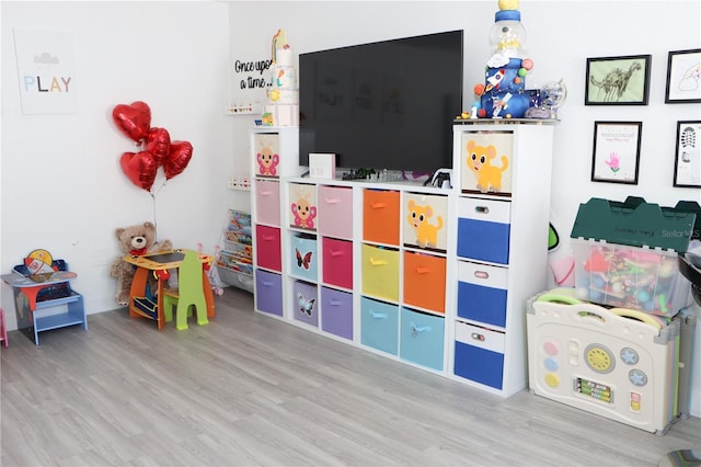 playroom featuring wood finished floors