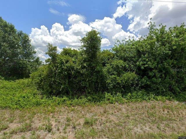 934 Dobbins St E, Lehigh Acres FL, 33974 land for sale