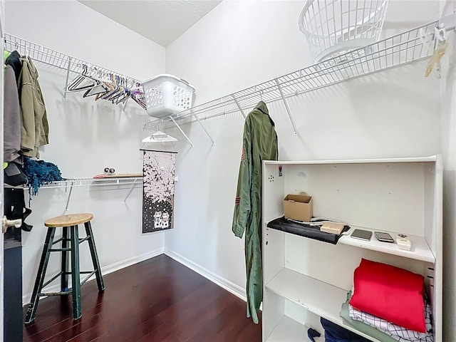 walk in closet featuring wood finished floors