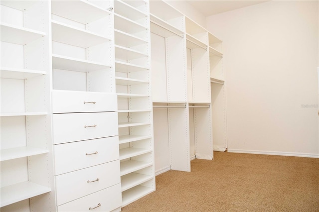 11474 Claymont Cir, Windermere, FL 34786 - spacious closet with light colored carpet