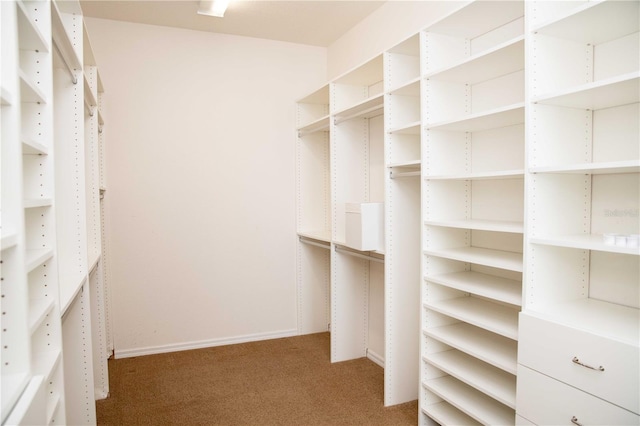 11474 Claymont Cir, Windermere, FL 34786 - walk in closet with carpet