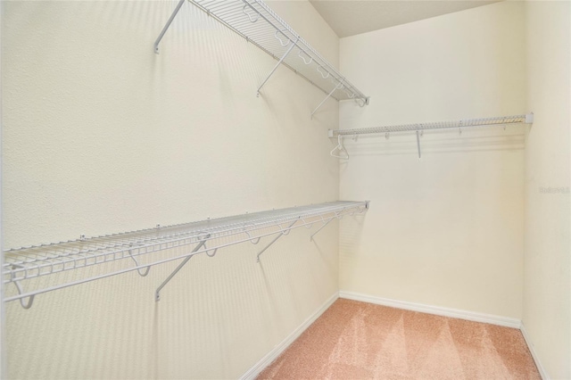 spacious closet featuring light carpet