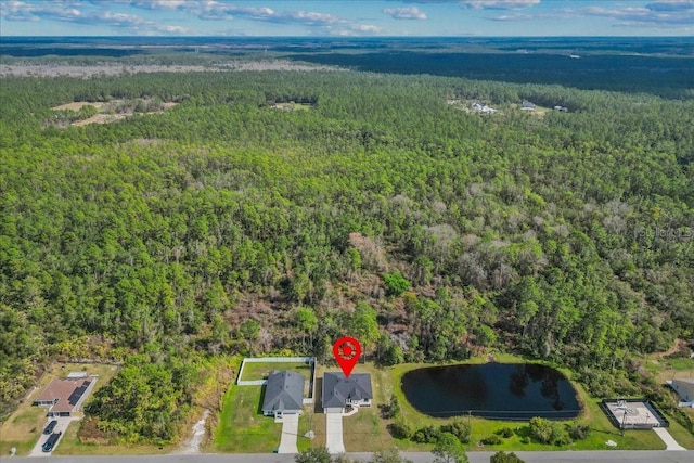 aerial view with a water view and a view of trees