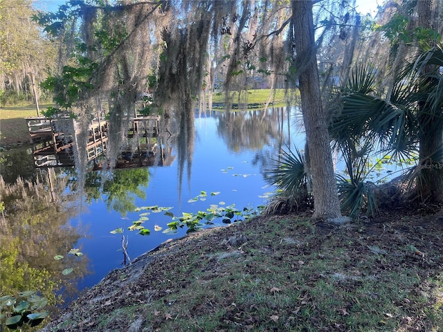 Listing photo 3 for 1609 Yellow Brick Rd, Astor FL 32102