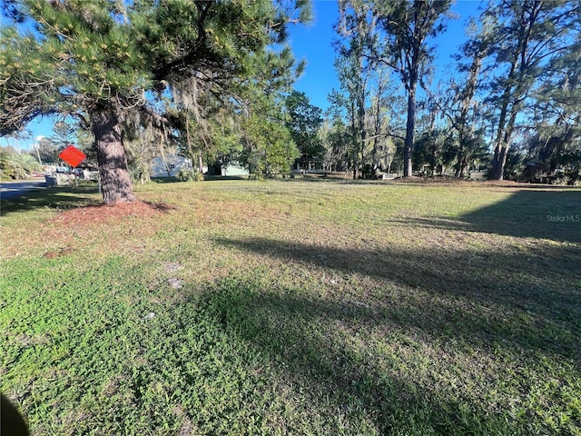 1609 Yellow Brick Rd, Astor, FL 32102