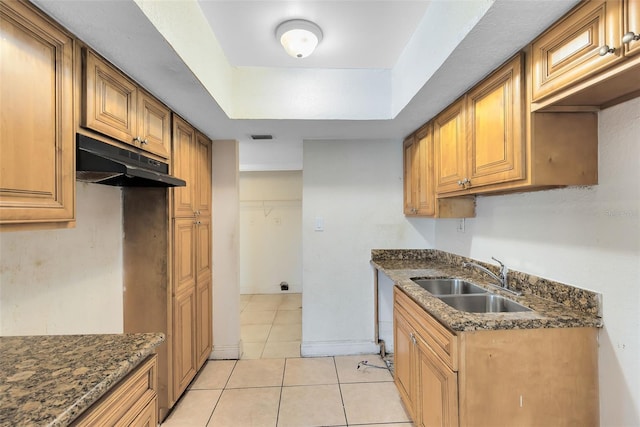 kitchen featuring light tile patterned floors, visible vents, a tray ceiling, a sink, and under cabinet range hood