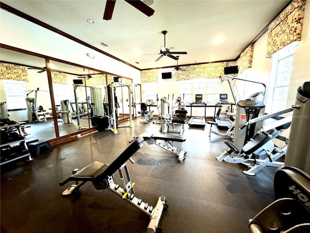 workout area featuring a ceiling fan, visible vents, crown molding, and a textured ceiling