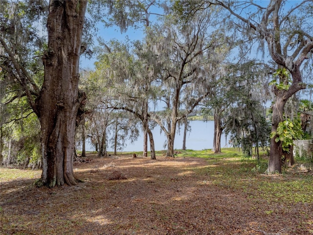 Silver Dr, Umatilla FL, 32784 land for sale