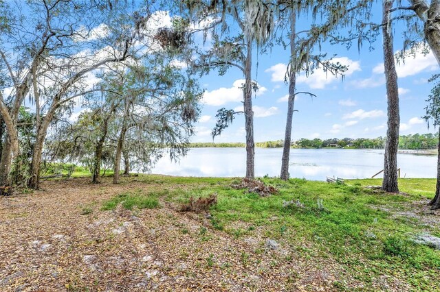 Silver Dr, Umatilla, FL 32784 - photo 21