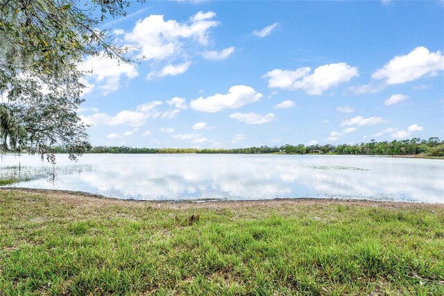 Silver Dr, Umatilla, FL 32784 - photo 22
