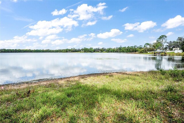 Silver Dr, Umatilla, FL 32784 - photo 24