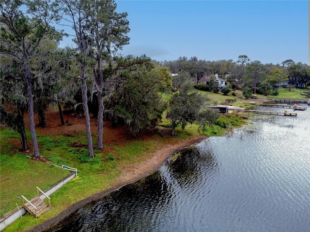 Silver Dr, Umatilla, FL 32784 - photo 3