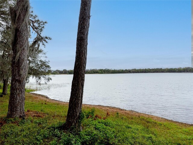 Silver Dr, Umatilla, FL 32784 - photo 4