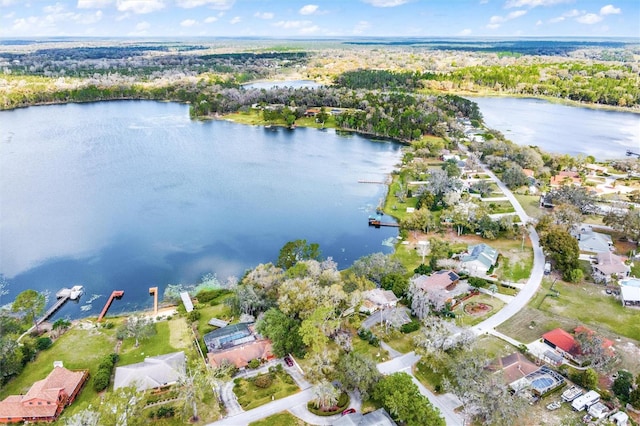 Silver Dr, Umatilla, FL 32784 - photo 8