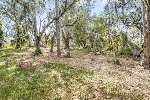 Silver Dr, Umatilla, FL 32784 - photo 14