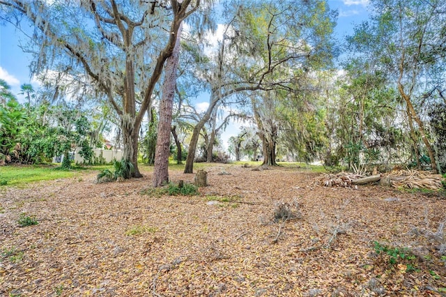 Silver Dr, Umatilla, FL 32784 - photo 15