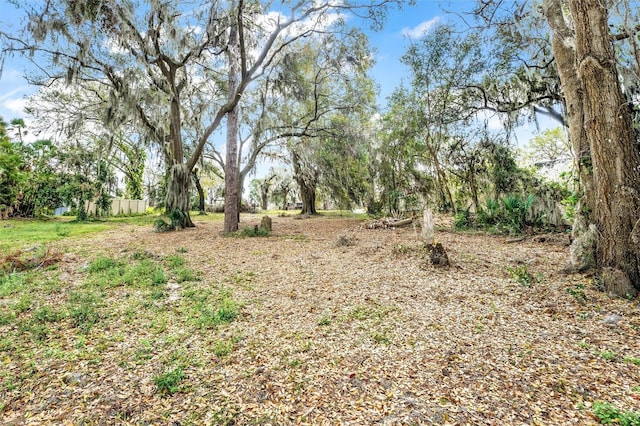 Silver Dr, Umatilla, FL 32784 - photo 16