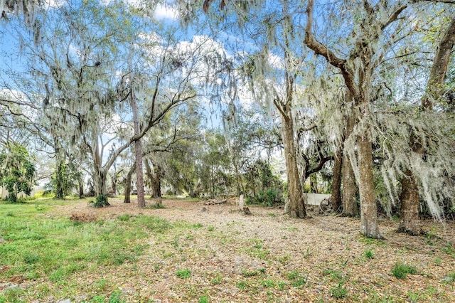 Silver Dr, Umatilla, FL 32784 - photo 17