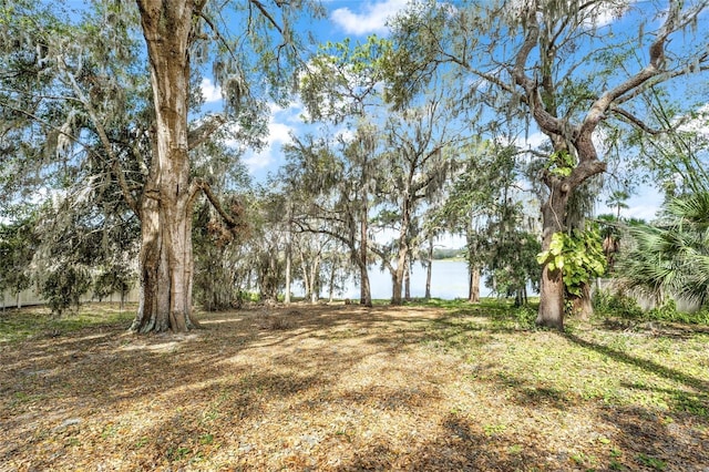 Silver Dr, Umatilla, FL 32784 - photo 18