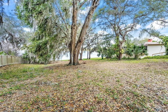 Silver Dr, Umatilla, FL 32784 - photo 19
