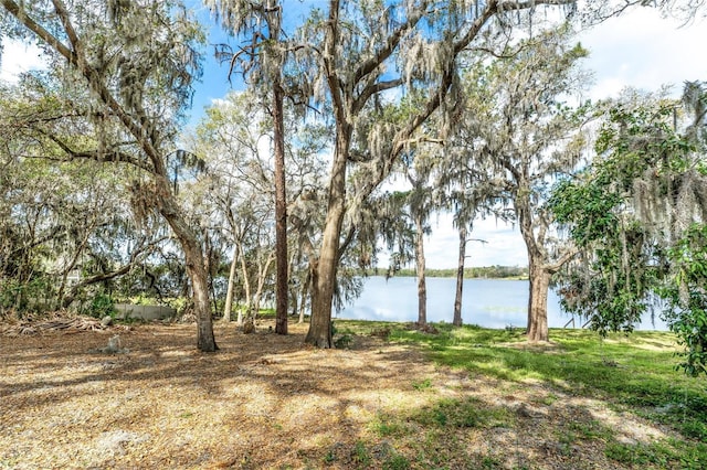 Silver Dr, Umatilla, FL 32784 - photo 20