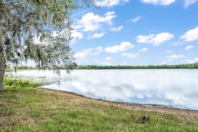Silver Dr, Umatilla, FL 32784 - photo 23