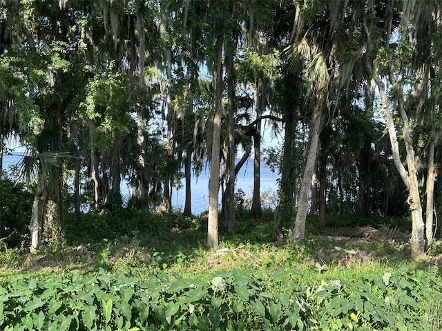 210 Torcaso Ct, Winter Springs, FL 32708 - photo 3