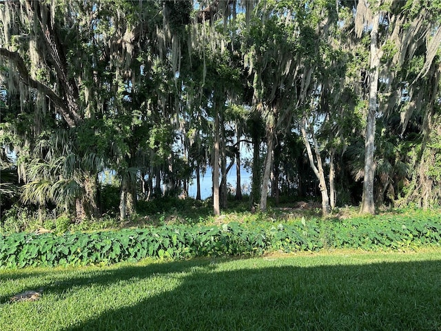210 Torcaso Ct, Winter Springs, FL 32708 - photo 56