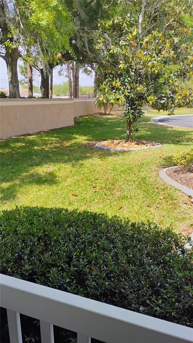 12209 Putter Green Ct, New Port Richey, FL 34654 - view of grassy yard