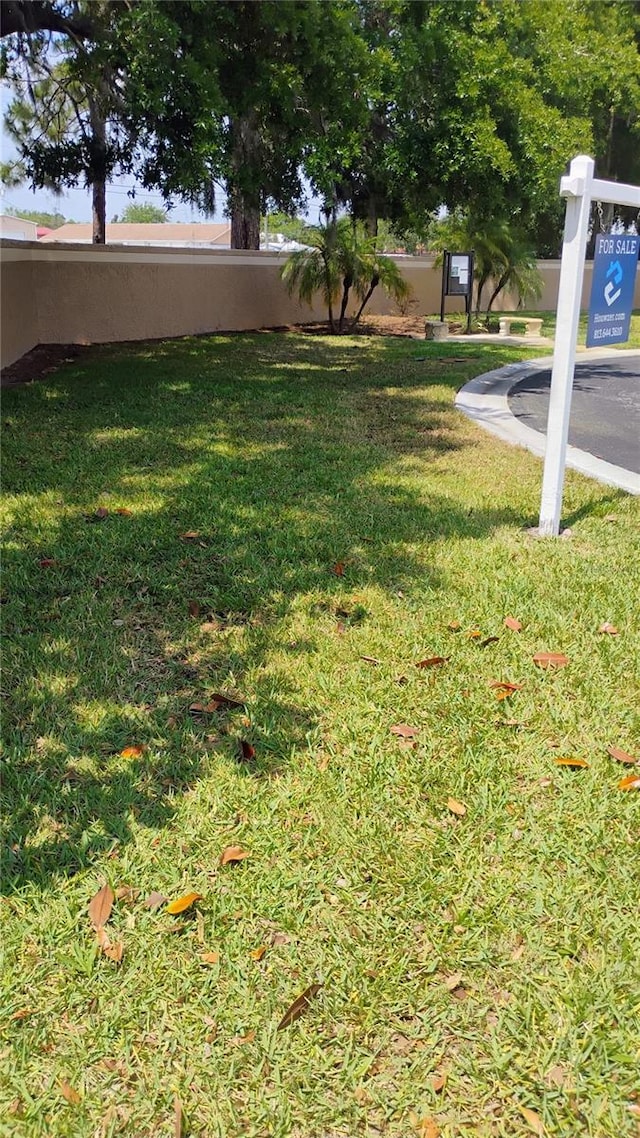 12209 Putter Green Ct, New Port Richey, FL 34654 - view of grassy yard