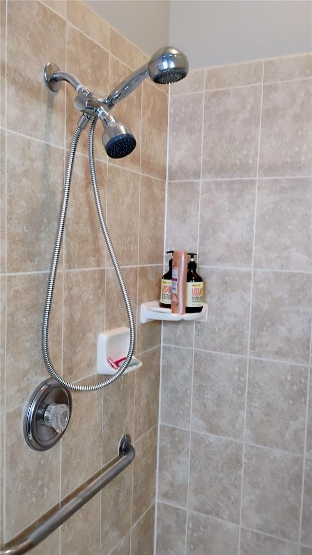 12209 Putter Green Ct, New Port Richey, FL 34654 - bathroom view of a tile shower