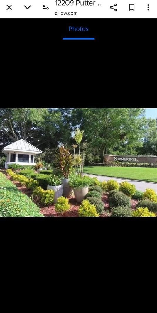 12209 Putter Green Ct, New Port Richey, FL 34654 - view of yard