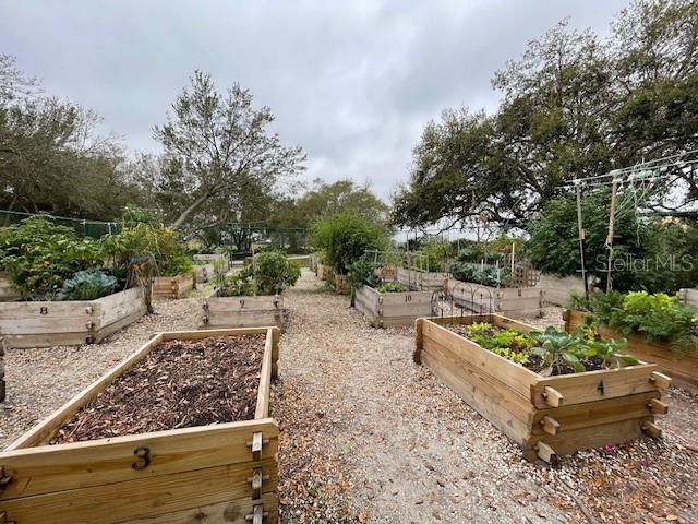 view of yard with a vegetable garden