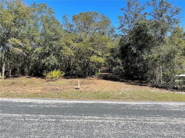 Listing photo 2 for NE 310th Ave, Fort Mc Coy FL 32134