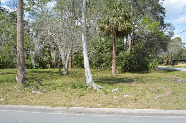 Listing photo 3 for 0 Mcgee St, Daytona Beach FL 32114