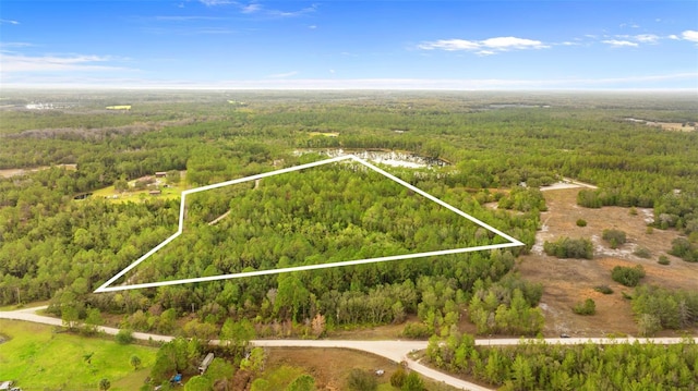 938 Buckles Rd, Pierson FL, 32180 land for sale