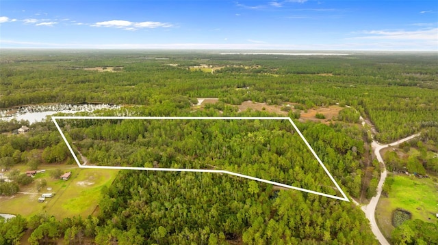 Listing photo 3 for 938 Buckles Rd, Pierson FL 32180