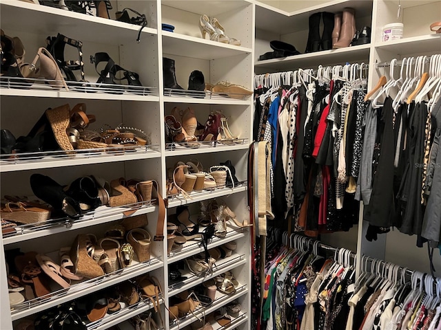 view of walk in closet